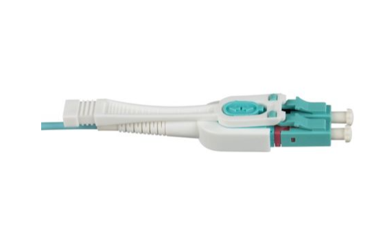 FZ2TLUCUCONM010