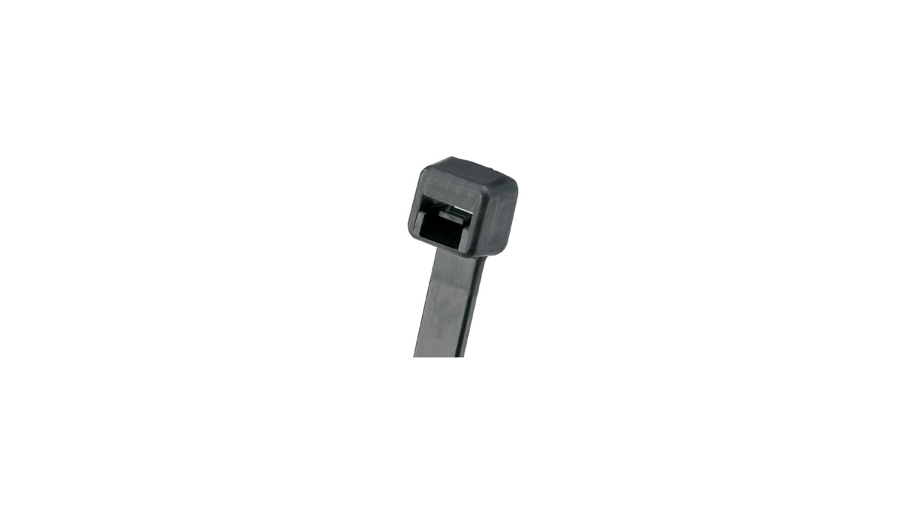 PLT4S-C0
